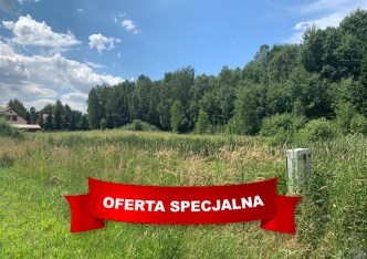 działka na sprzedaż - Gietrzwałd, Woryty