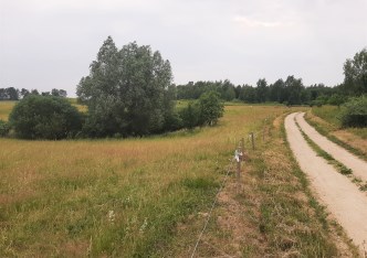 działka na sprzedaż - Pasym (gw), Grzegrzółki