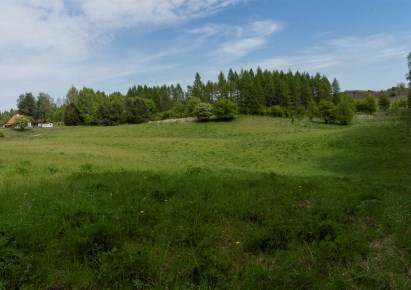 działka na sprzedaż - Jonkowo, Szałstry