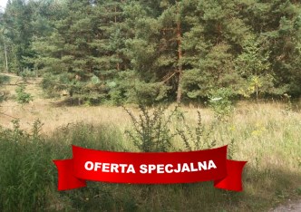 działka na sprzedaż - Dywity, Spręcowo