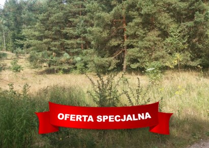 działka na sprzedaż - Dywity, Spręcowo