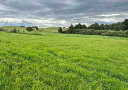 działka na sprzedaż - Jonkowo